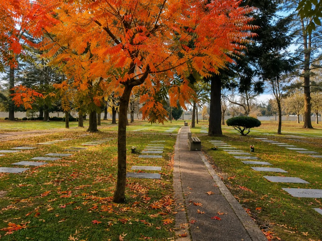 Cementerio Parque Pablo Nogués — jardines y senderos